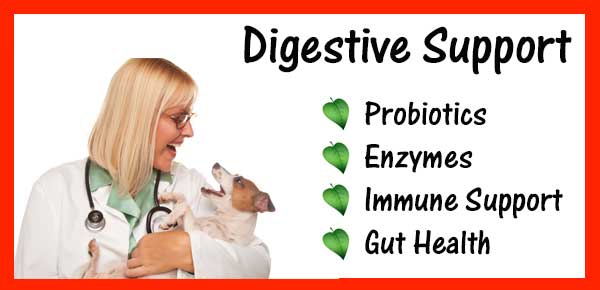 Digestive support
